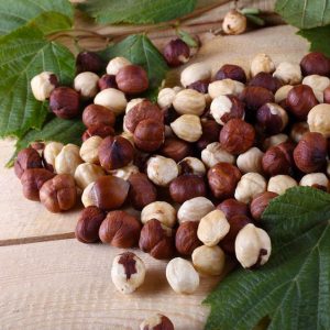 Selling High-Quality Iranian Hazelnut