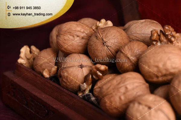 Selling high-quality Iranian walnut