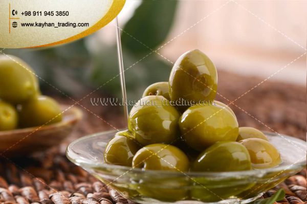 Selling high-quality Iranian Olives
